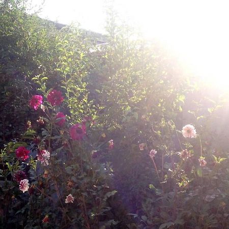 Friendly B&B Gjoumri Kültér fotó